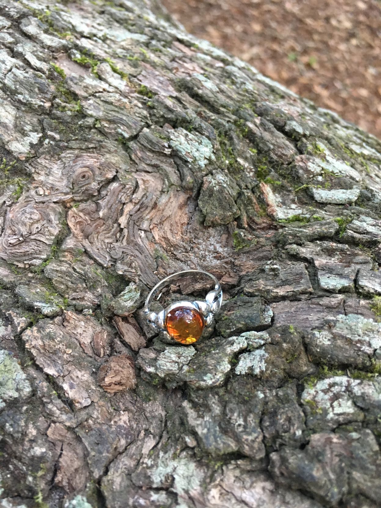 The ring